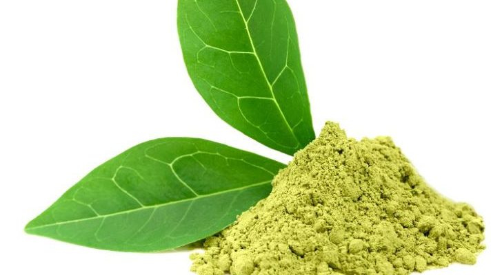 EXTRACTO DE TÉ VERDE